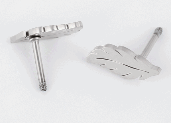 Leaf Stainless Steel Earrings